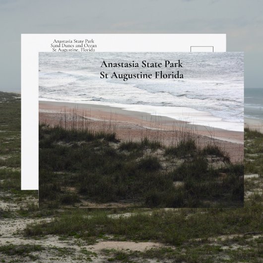 Anastasia State Park St Augustine Florida Revel Briefkaart