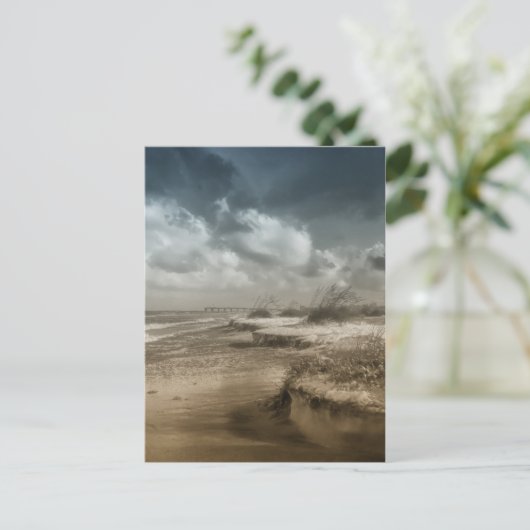 Anastasie 2 briefkaart (Staand voorkant)