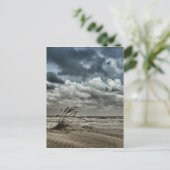 Anastasie 3 briefkaart (Staand voorkant)