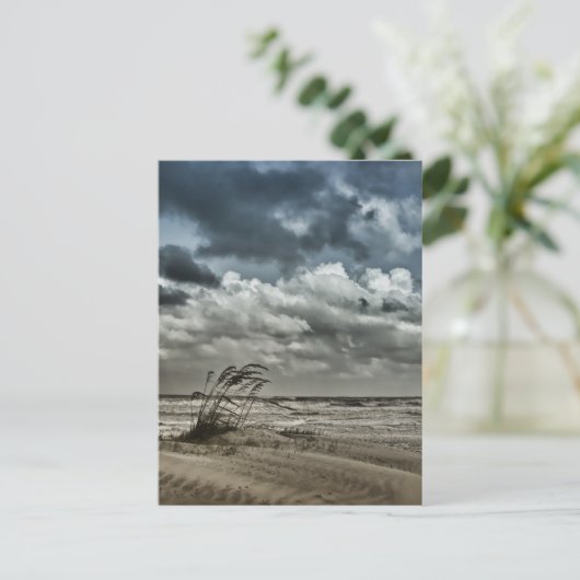 Anastasie 3 briefkaart (Staand voorkant)