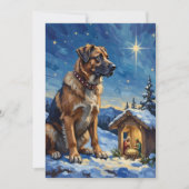 Anatolian Shepherd Dog Guarding Nativity Scene Feestdagenkaart (Voorkant)