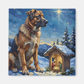 Anatolian Shepherd Dog Guarding Nativity Scene Magneet (Voorkant)