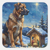 Anatolian Shepherd Dog Guarding Nativity Scene Vierkante Sticker (Voorkant)