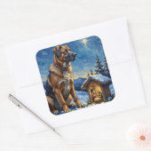 Anatolian Shepherd Dog Guarding Nativity Scene Vierkante Sticker (Envelop)