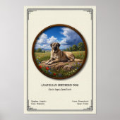 Anatolian Shepherd Dog Zoology Series Poster (Voorkant)