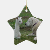 Anatolian Shepherd en Alpaca Cria Keramisch Ornament (Rechts)