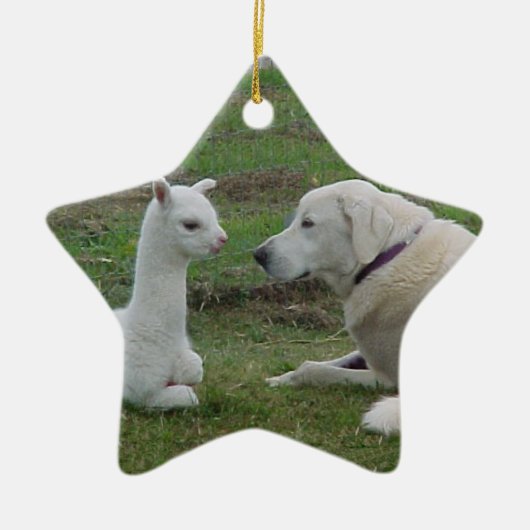 Anatolian Shepherd en Alpaca Cria Keramisch Ornament (Voorkant)
