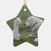 Anatolian Shepherd en Alpaca Cria Keramisch Ornament (Links)