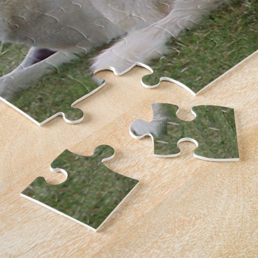 Anatolian Shepherd en Alpaca Cria Legpuzzel (Zijkant)