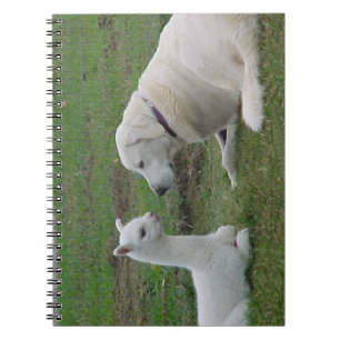 Anatolian Shepherd en Alpaca Cria Notitieboek