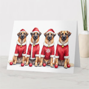 Anatolian Shepherd Kerstjurk Kerstman Hoed Kaart