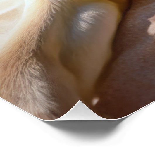 Anatolian Shepherd op Beach, hondenliefhebber zome Perfect Poster (Hoek)