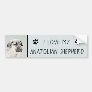 Anatolian Shepherd Painting - Oorspronkelijke hond Bumpersticker