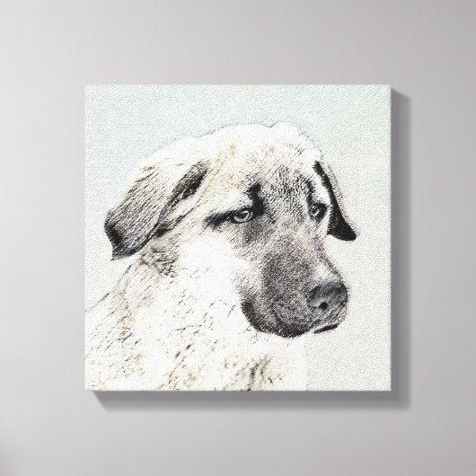 Anatolian Shepherd Painting - Oorspronkelijke hond Canvas Afdruk (Voorkant)
