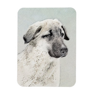 Anatolian Shepherd Painting - Oorspronkelijke hond Magneet