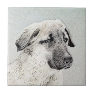 Anatolian Shepherd Painting - Oorspronkelijke hond Tegeltje