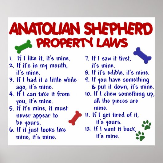 ANATOLIAN SHEPHERD PL2 POSTER (Voorkant)