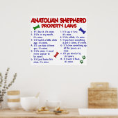 ANATOLIAN SHEPHERD PL2 POSTER (Keuken)