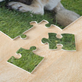 Anatolian Shepherd Relaxing in gras Legpuzzel (Zijkant)