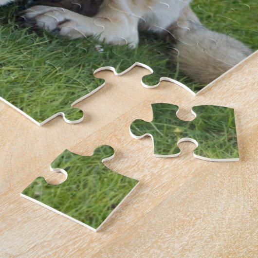 Anatolian Shepherd Relaxing in gras Legpuzzel (Zijkant)
