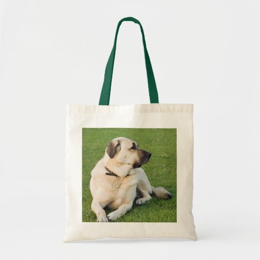 Anatolian Shepherd Relaxing in gras Tote Bag (Voorkant)