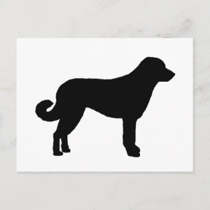 Anatolian Shepherd silo black.png Briefkaart