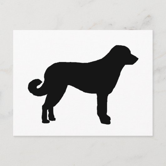Anatolian Shepherd silo black.png Briefkaart (Voorkant)
