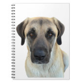 Anatolian Shepherd Spiral Notitieboek Planner (Voorkant)