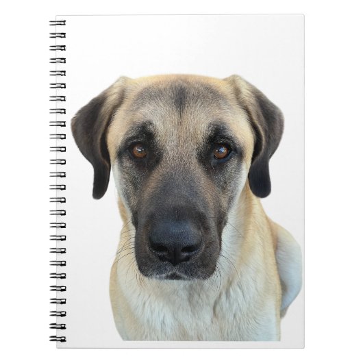 Anatolian Shepherd Spiral Notitieboek Planner (Voorkant)
