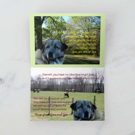 Anatoliër, Achai op de baan-- pas om het even Kaart (Binnen)