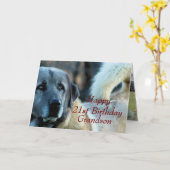 Anatoliër, Achai op de baan-- pas om het even Kaart (Gele Bloem)