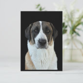 Anatolische herder bedankt kaart (Staand voorkant)