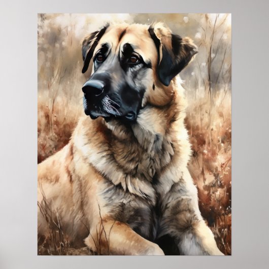 Anatolische Herder Hond Art Print Poster (Voorkant)