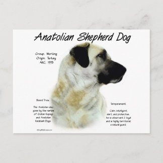 Anatolische Herder Hond Geschiedenis Briefkaart