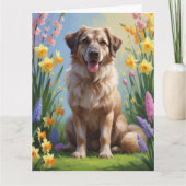 Anatolische herder hond lente bloemen schilderen kaart (Voorkant)
