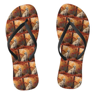 Anatolische herder in de herfst laat Herfst inspir Teenslippers