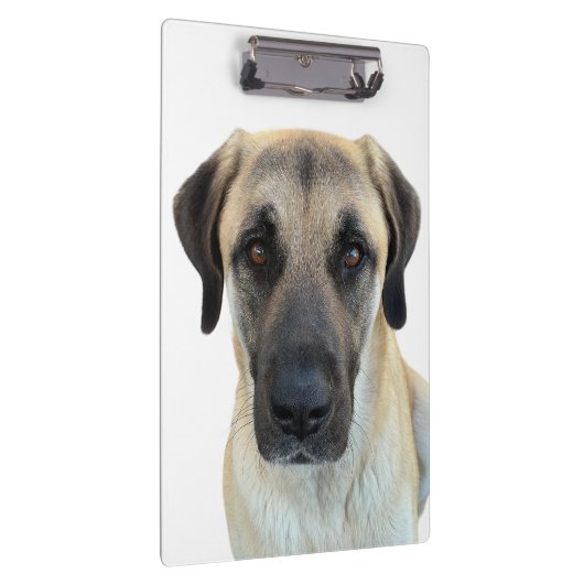 Anatolische herder klembord (Rechts)