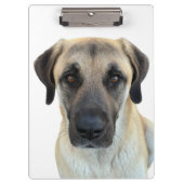 Anatolische herder klembord (Voorkant)