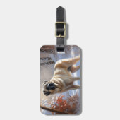 Anatolische herder liet het sneeuwKerstmis Bagagelabel (Voorkant verticaal)