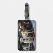 Anatolische Herder Sneeuwslee Kerstdecoratie Bagagelabel (Achterkant verticaal)