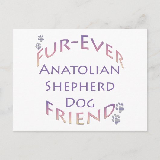 Anatolische herdershond Furever Briefkaart (Voorkant)