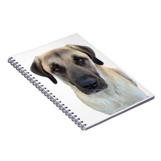 Anatolische herdershond spiraal Notitieboek (Rechterzijde)