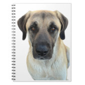Anatolische herdershond spiraal Notitieboek (Voorkant)
