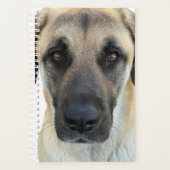 Anatolische herdershondenplanner planner (Voorkant)