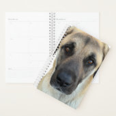 Anatolische herdershondenplanner planner (Display)