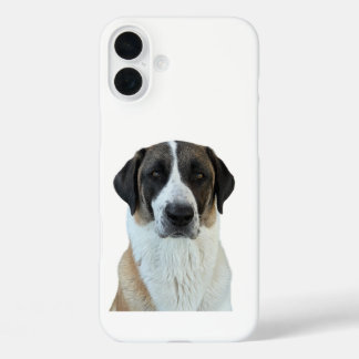 Anatolische Shepherd iPhone/iPad Case