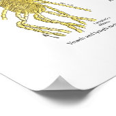 Anatomaire circulatoire grafiek Arteries Veins Lym Poster (Hoek)