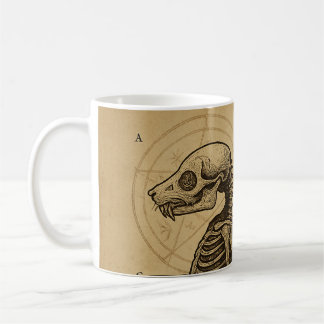 Anatomical Findings: Brown Jenkin Specimen No. 17, Koffiemok