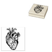 Anatomical Heart Rubberstempel (Gestempeld)