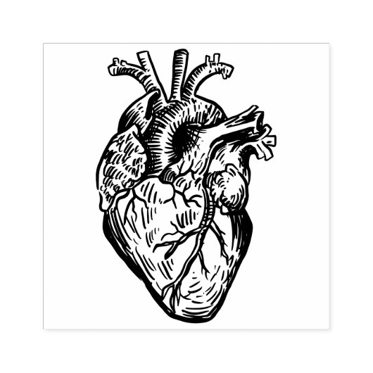 Anatomical Heart Rubberstempel (Afrduk)